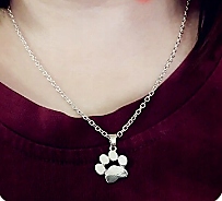 

Wisiorek srebrny srebro Łapa prezent Hit