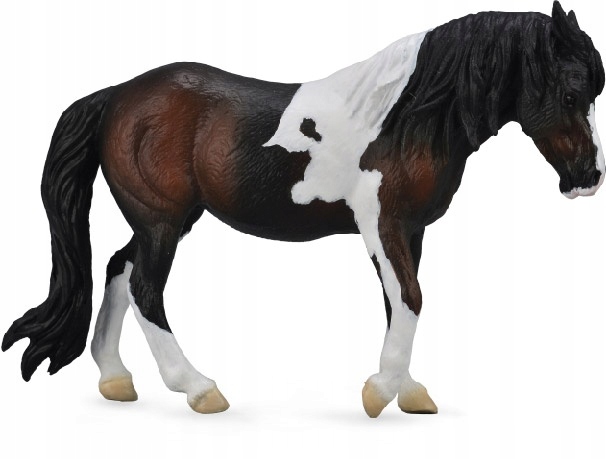 

Klacz Dartmoor Hill - Gniady - CollectA - 88711- L