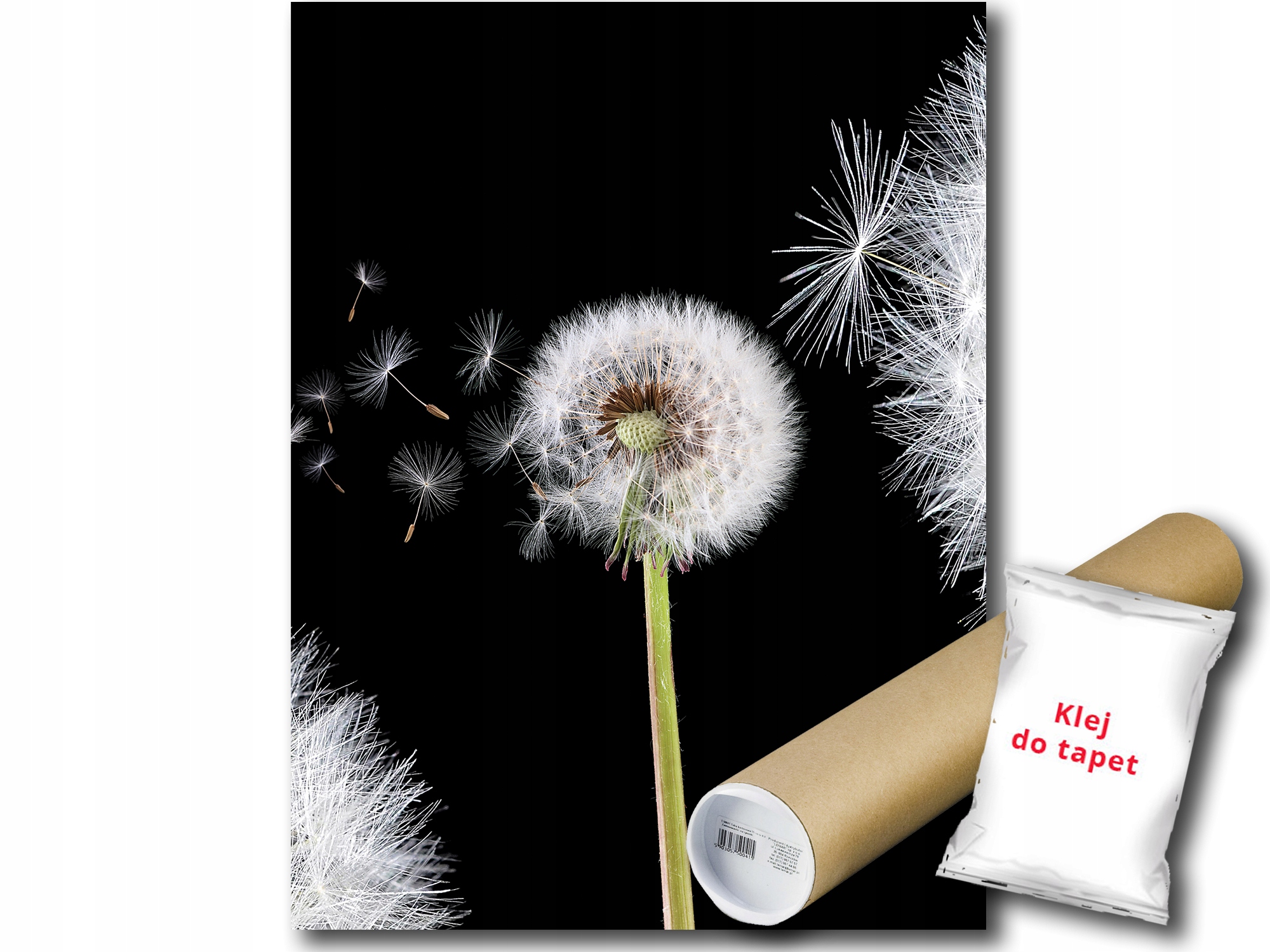 Fototapeta Pampeliška 9A Panxl 206x275 F10165