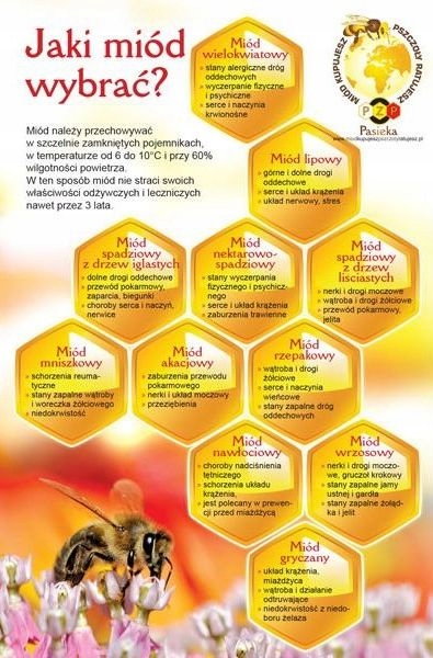 

Ulotka informacyjna Jaki miód wybrać 20 szt