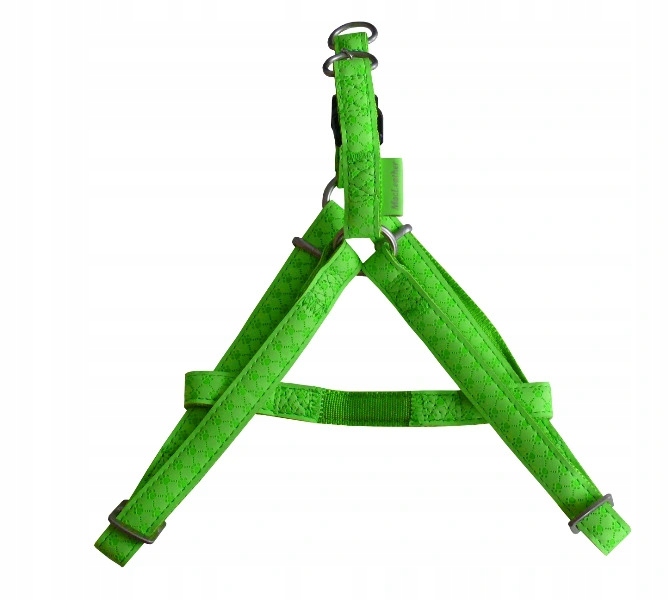 ZOLUX SZELKI DLA PSA MAC LEATHER 10 MM seledynowe