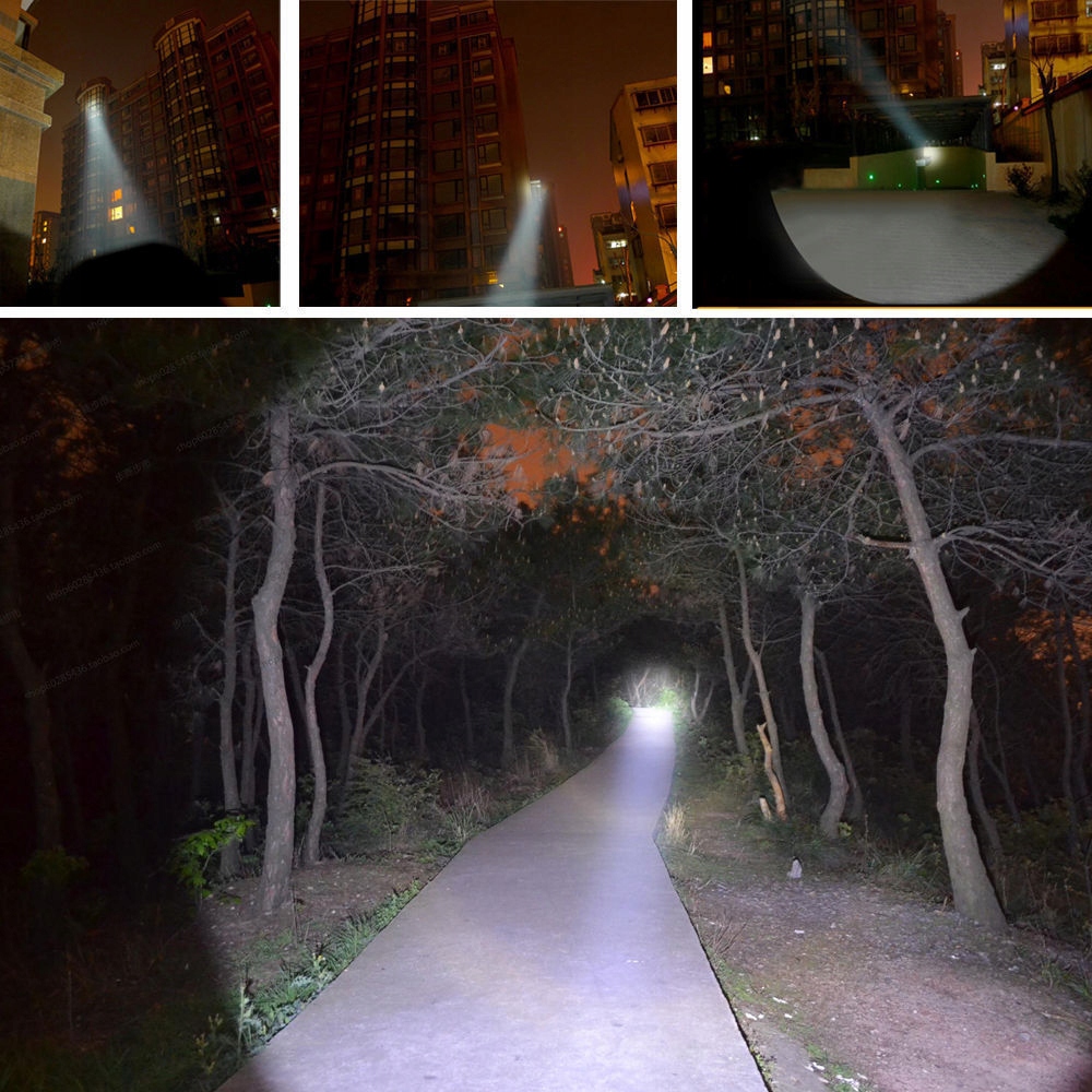 Latarka myśliwska do śledzenia śladów krwi UV ZOOM Rodzaj reflektor i szperacz