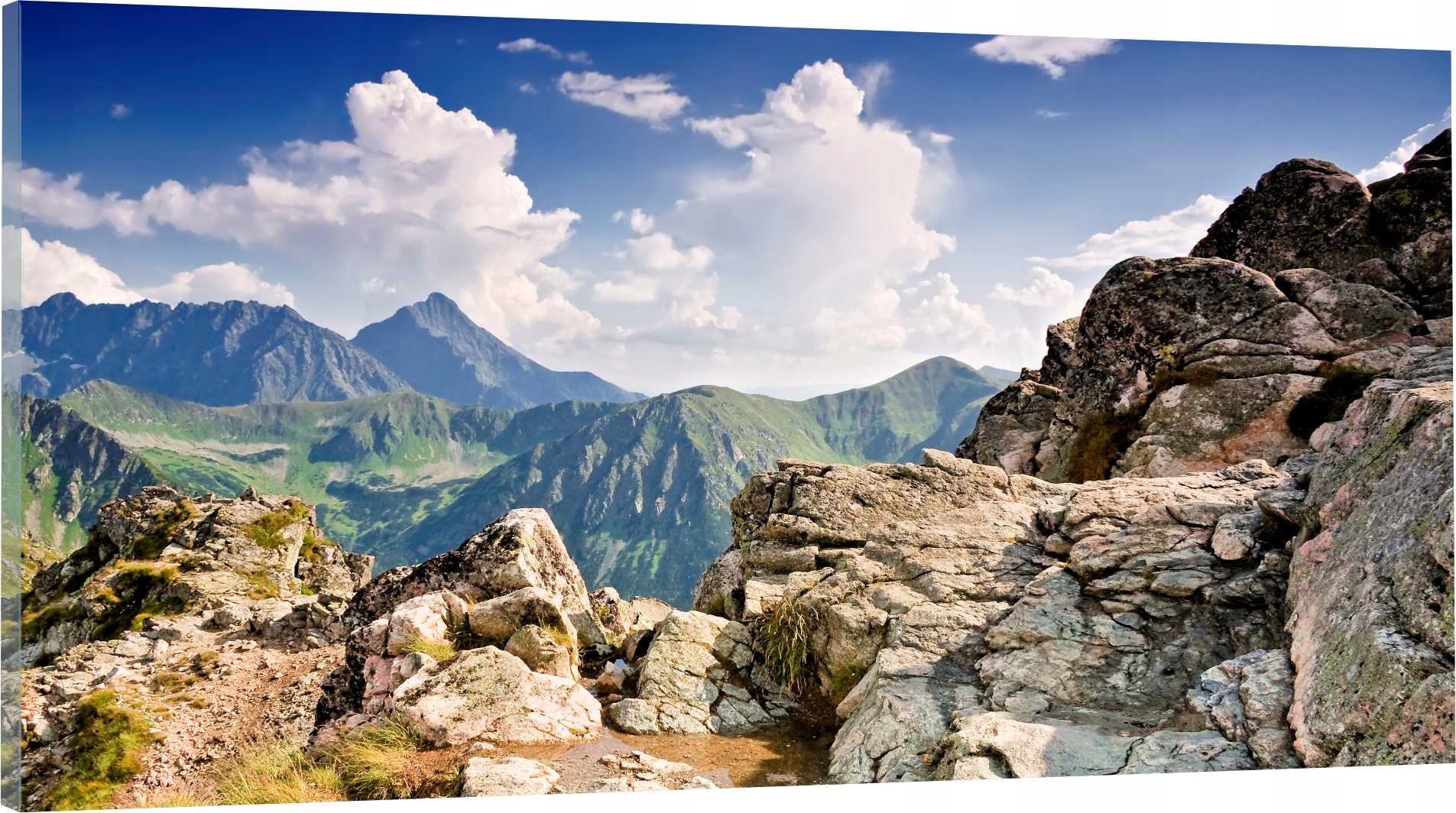 

Obraz panorama do salonu widok góry szczyty 120x60