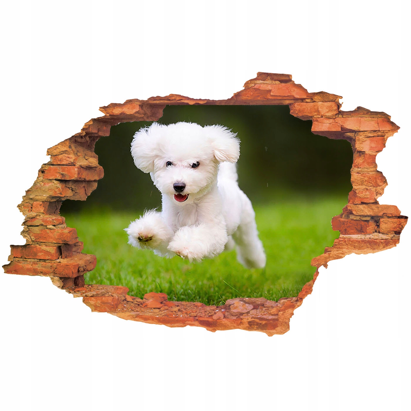 

Naklejki na ścianę 3D Pies dziura Zwierzęta widok