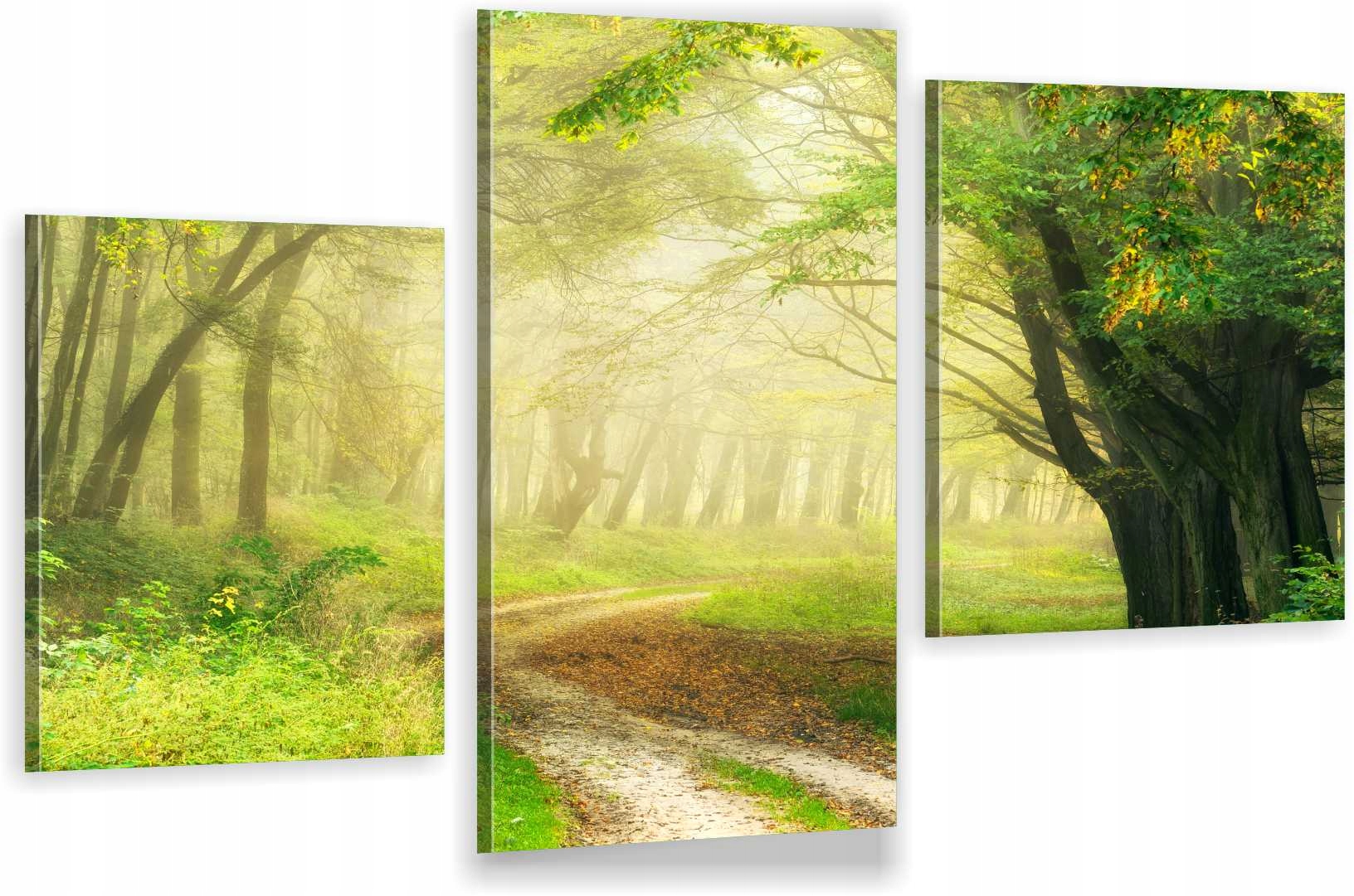 

Tryptyki Obraz Na Ścianę Dróżka Las Natura 980 Wz