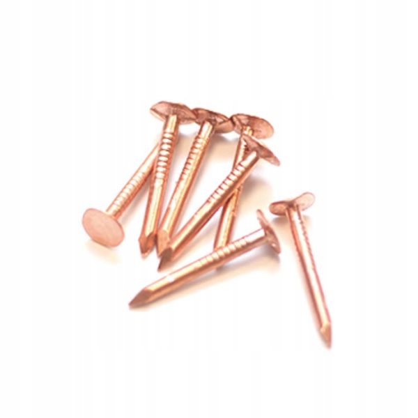 Gwoździe miedziane 30x3 mm