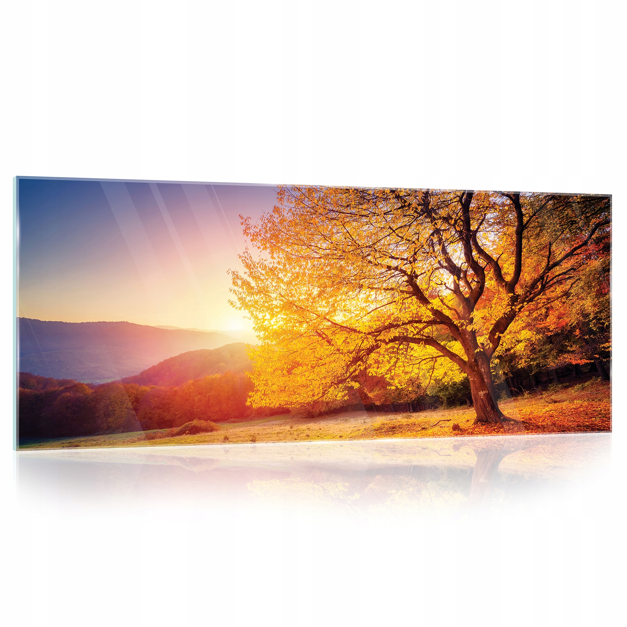 Obraz na skle Západ Slnka strom 125x50