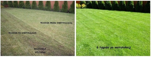 Aerator wertykulator elektryczny NAC przygotuj trawnik na wiosnę 1500W mocy Informacje dodatkowe funkcja aeracji