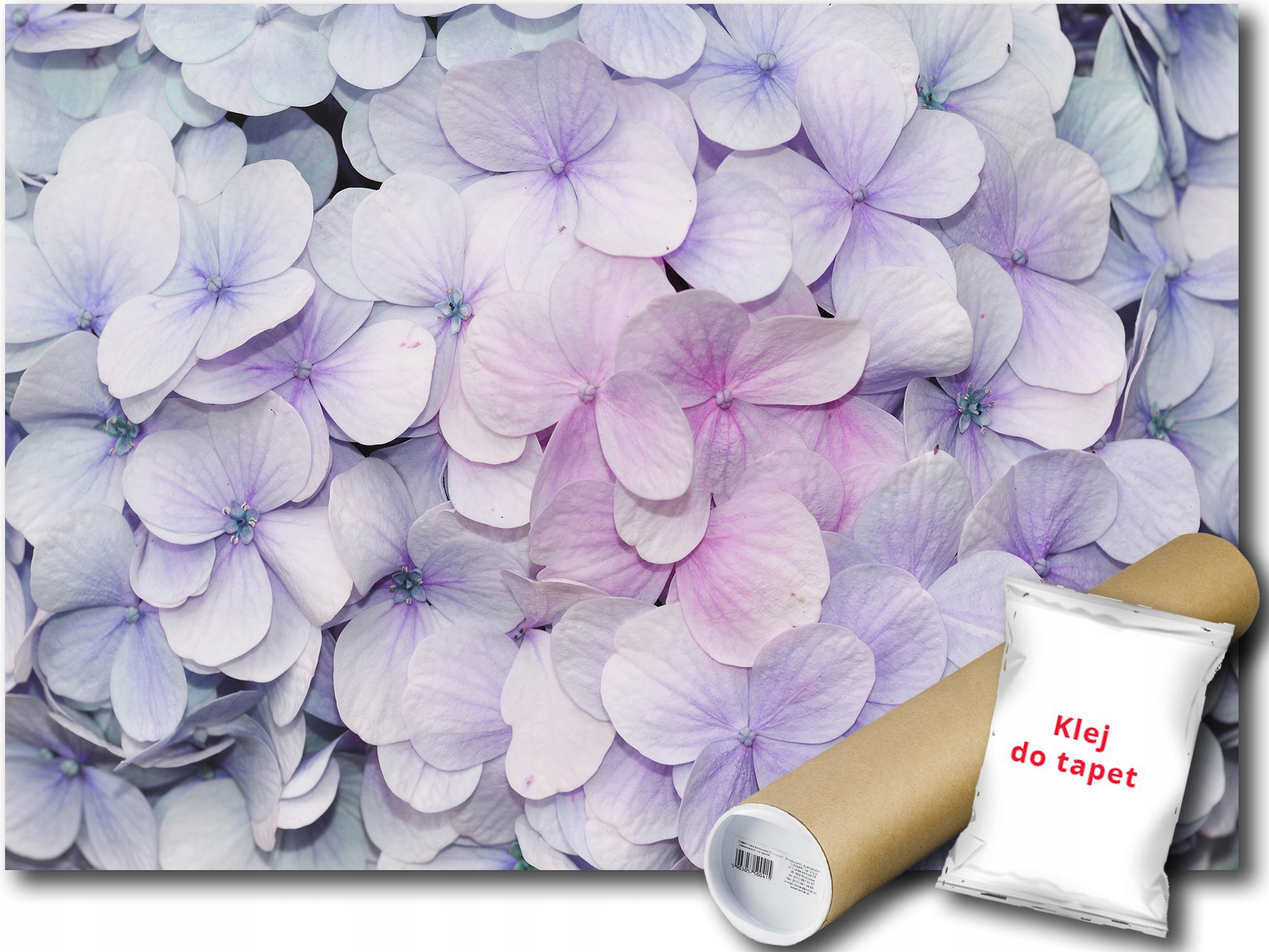 

Fototapeta Hortensja Kwiaty 9E Pxl 254x184 P3121