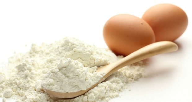 Levně Albumin Protein v prášku, vysoce pěnivý, 1 kg