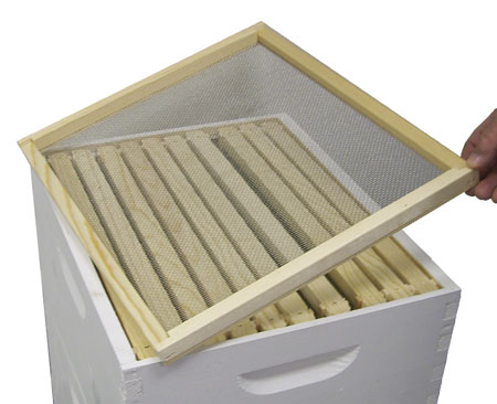 NOWOŚĆ! Siatka ocynk do dennic 44 cm x10m Producent Konigin