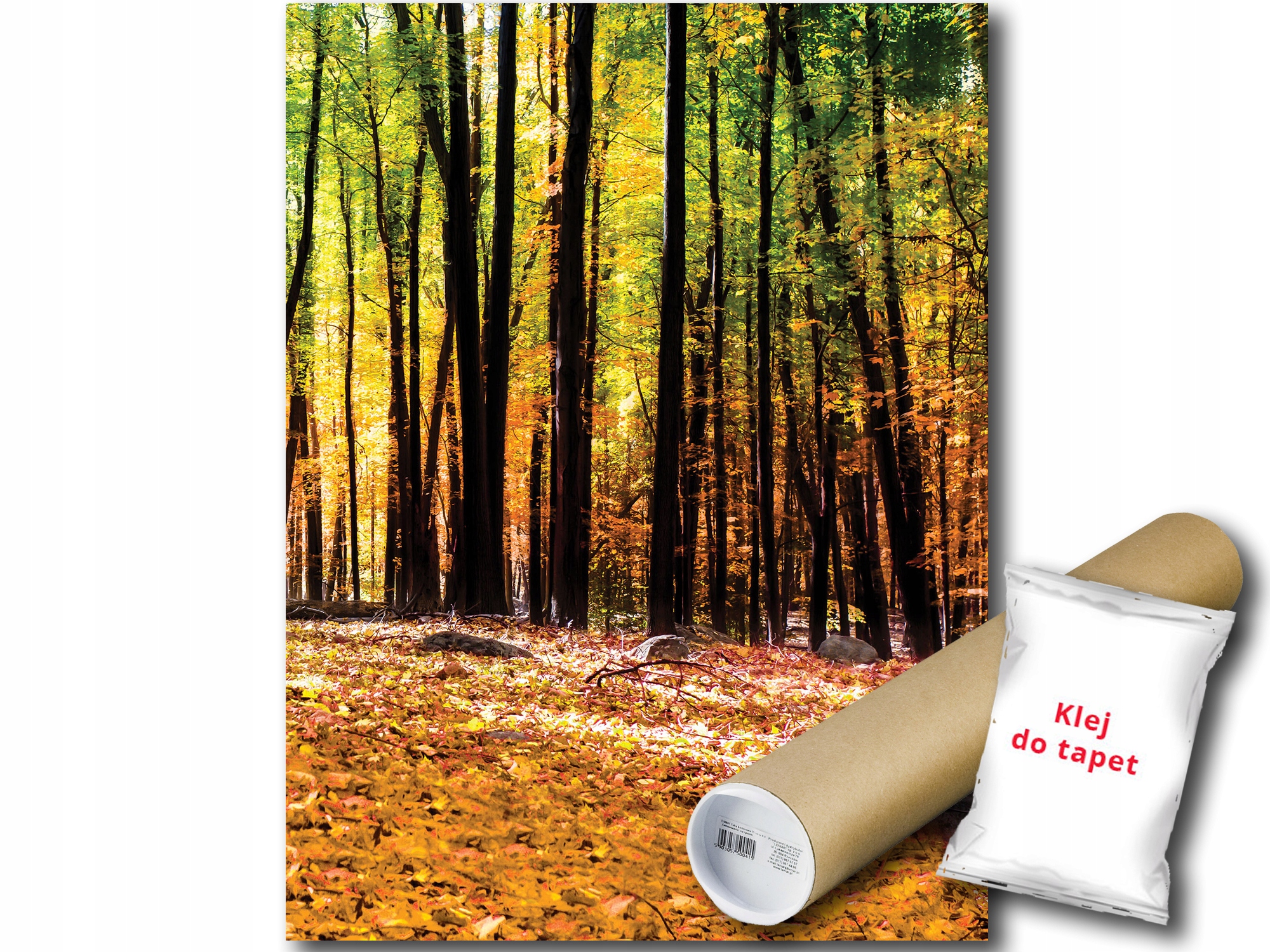 Fototapeta Les Jeseň 19A Panxl 206x275 F1220