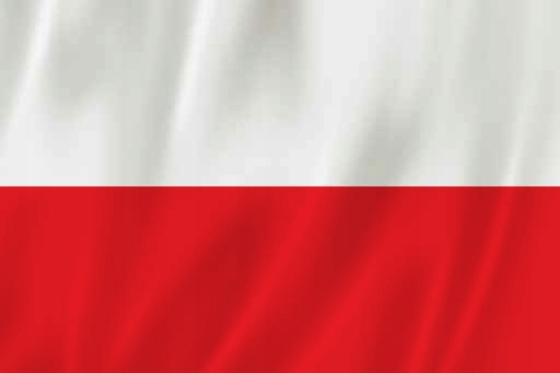 Smartfon dla Seniora Doro 8035 5'' LTE HAC SOS Funkcje tethering (hot-spot)