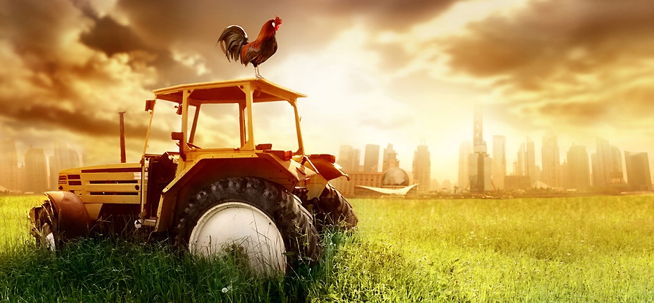 IKEA VARIERA Przegroda na pokrywki regulowana Marka Ikea