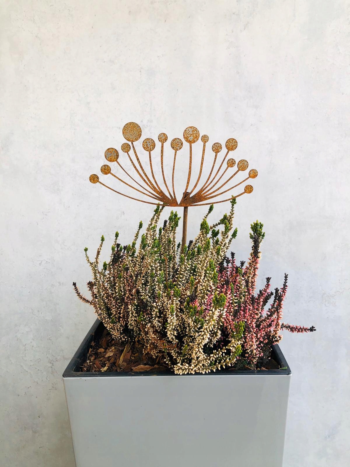 Mniszek kwiat ozdoba ogrodowa Rdza Industrial Kod producenta 2