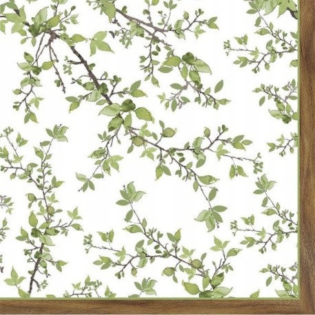 САЛФЕТКИ БУМАЖНЫЕ R2S - Природа - Зеленые Листочки