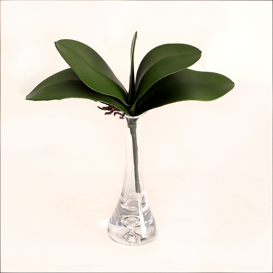 LIŚĆ LIŚCIE DO STORCZYKA STORCZYK KORZENIE 26cm