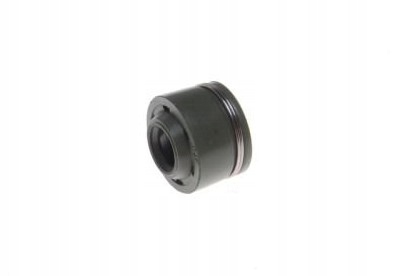 

Uszczelniacz Zaworowy Atv 250 ST-9E 5 mm