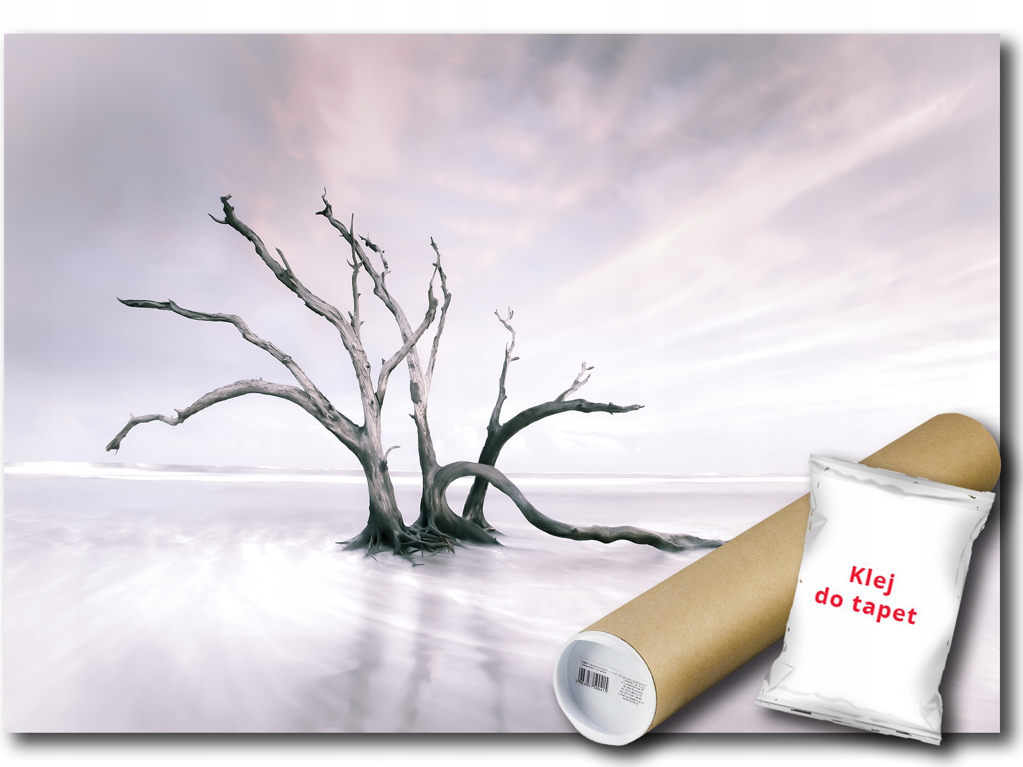 

Fototapeta Woda Drzewo 3B Fl 152x104 F13310