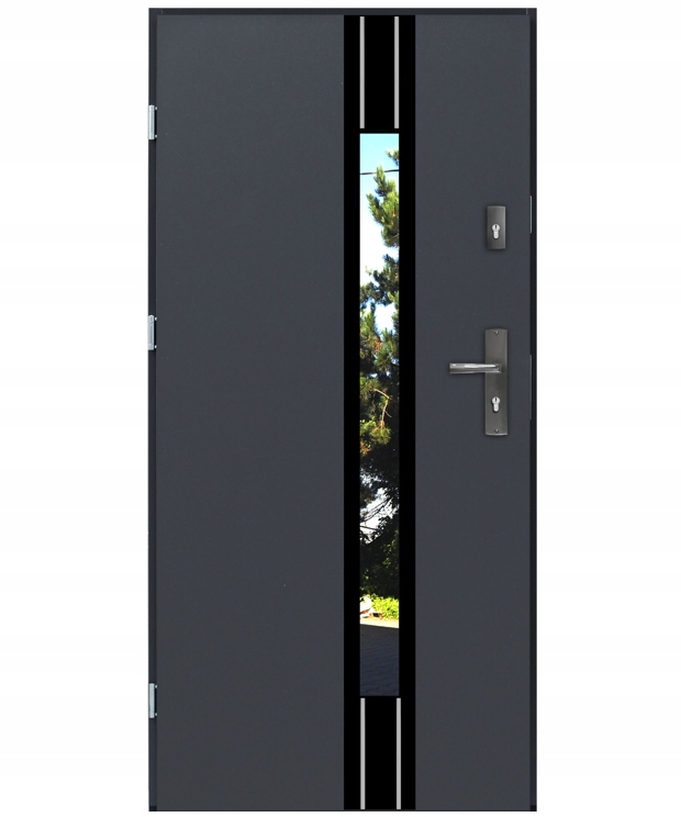 DRZWI ZEWNĘTRZE FUTURE 1 BLACK GLASS ALU