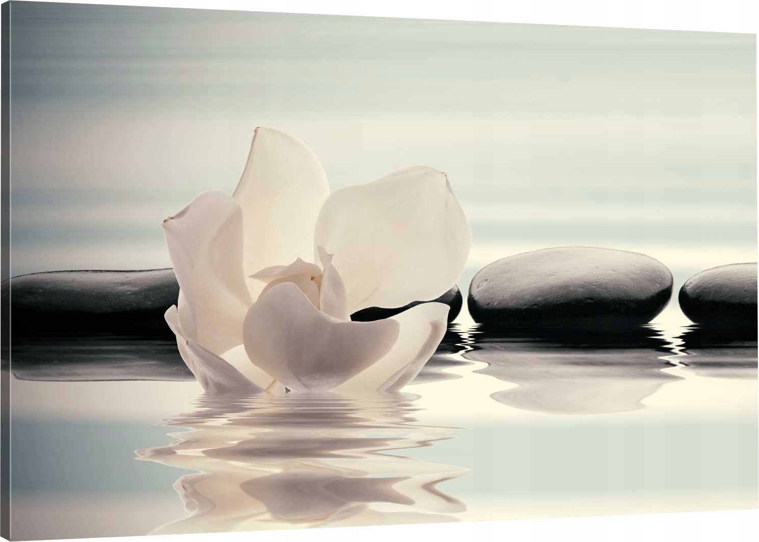 

Obraz Na Płótnie Do Salonu Kwiat Kamienie 110x70