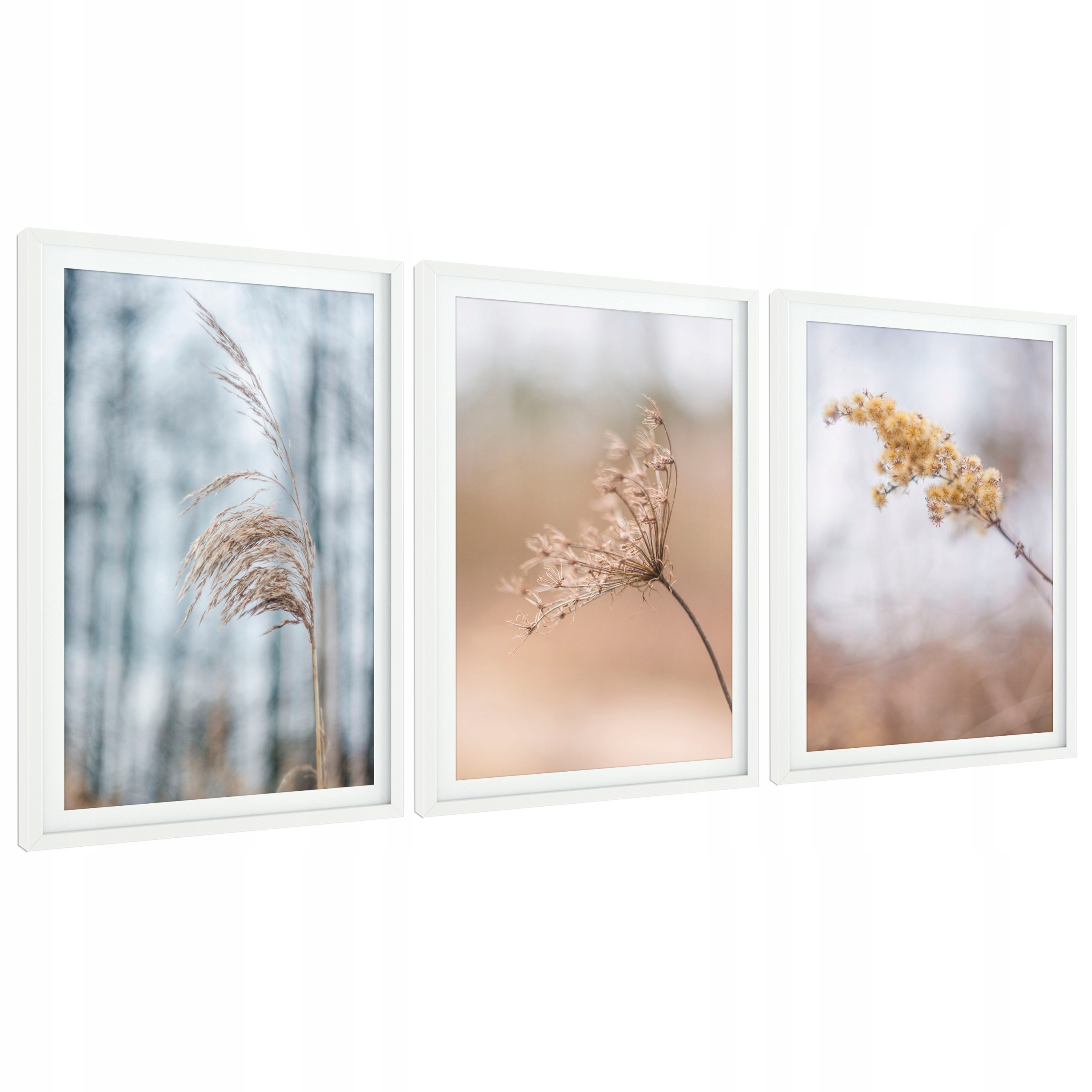 

Nowoczesne Obrazy, plakaty w ramie duże 3x 40x60cm