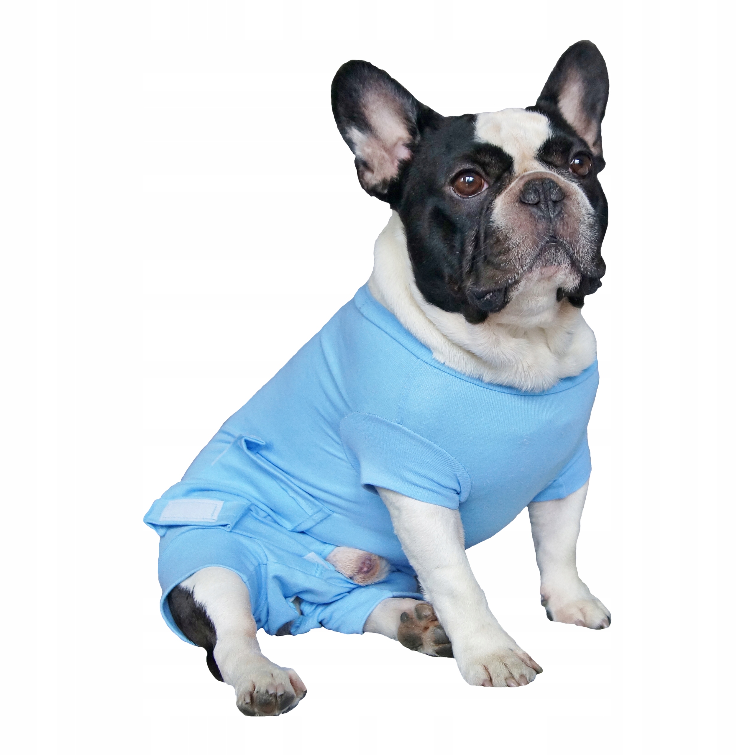 Body pooperacyjne r.8(XL)(53-60cm)PIES WET11/8