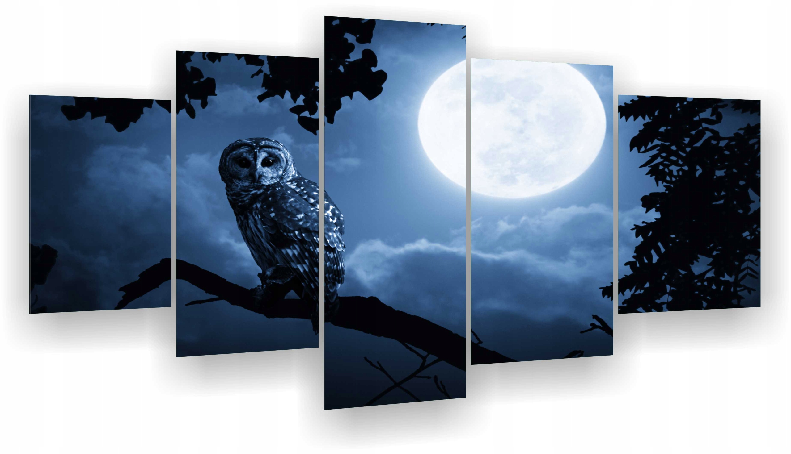 

Obraz 5 częsciowy tryptyk sowa księżyc noc maxwyb
