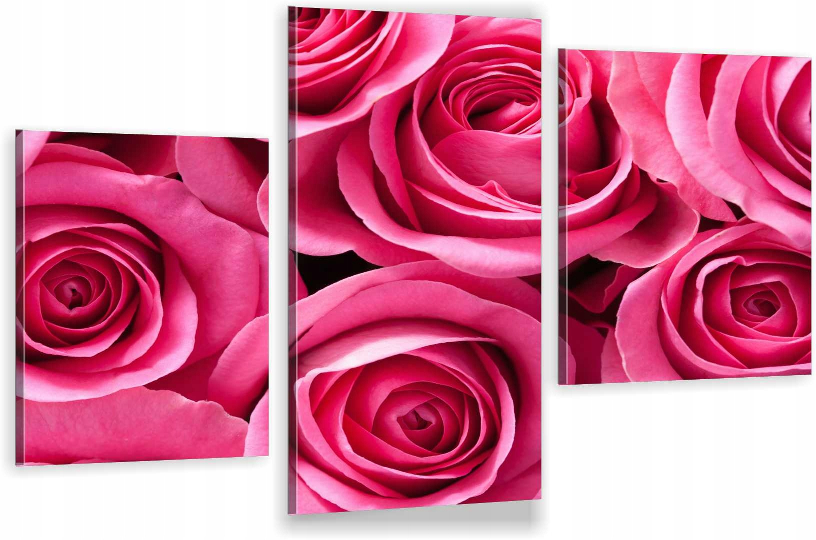 

Tryptyki Obraz Na Ścianę Różowe Róże 800 Wzorów