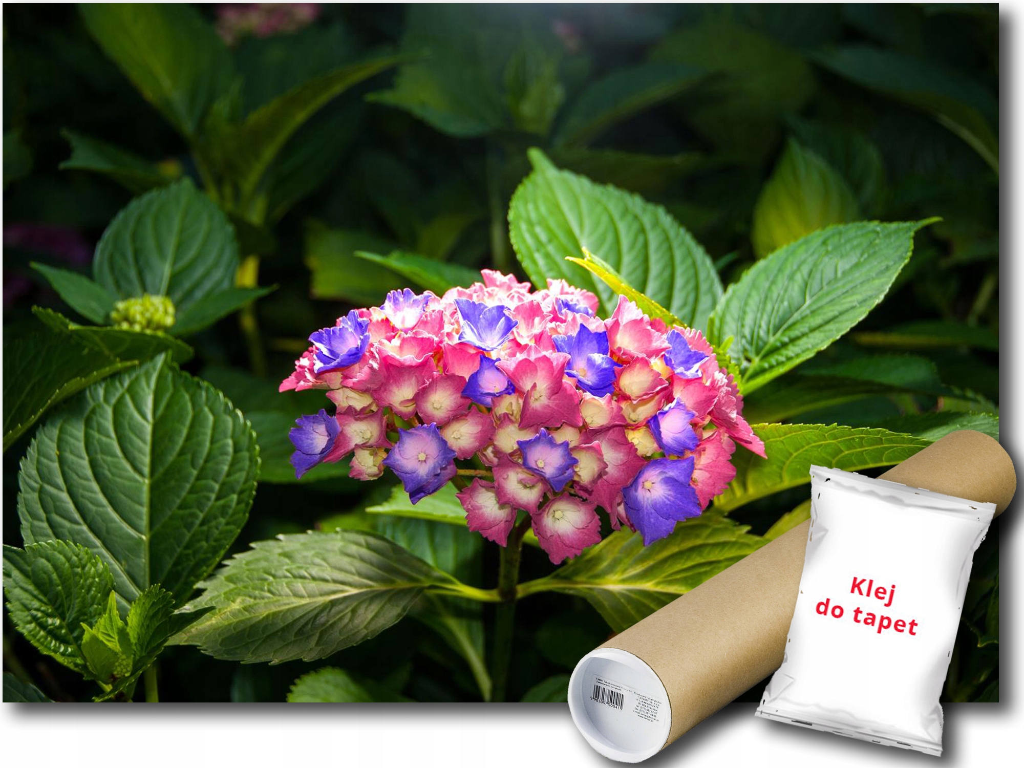 Fototapeta Barevné Květiny 9E V4 254x184 F1562