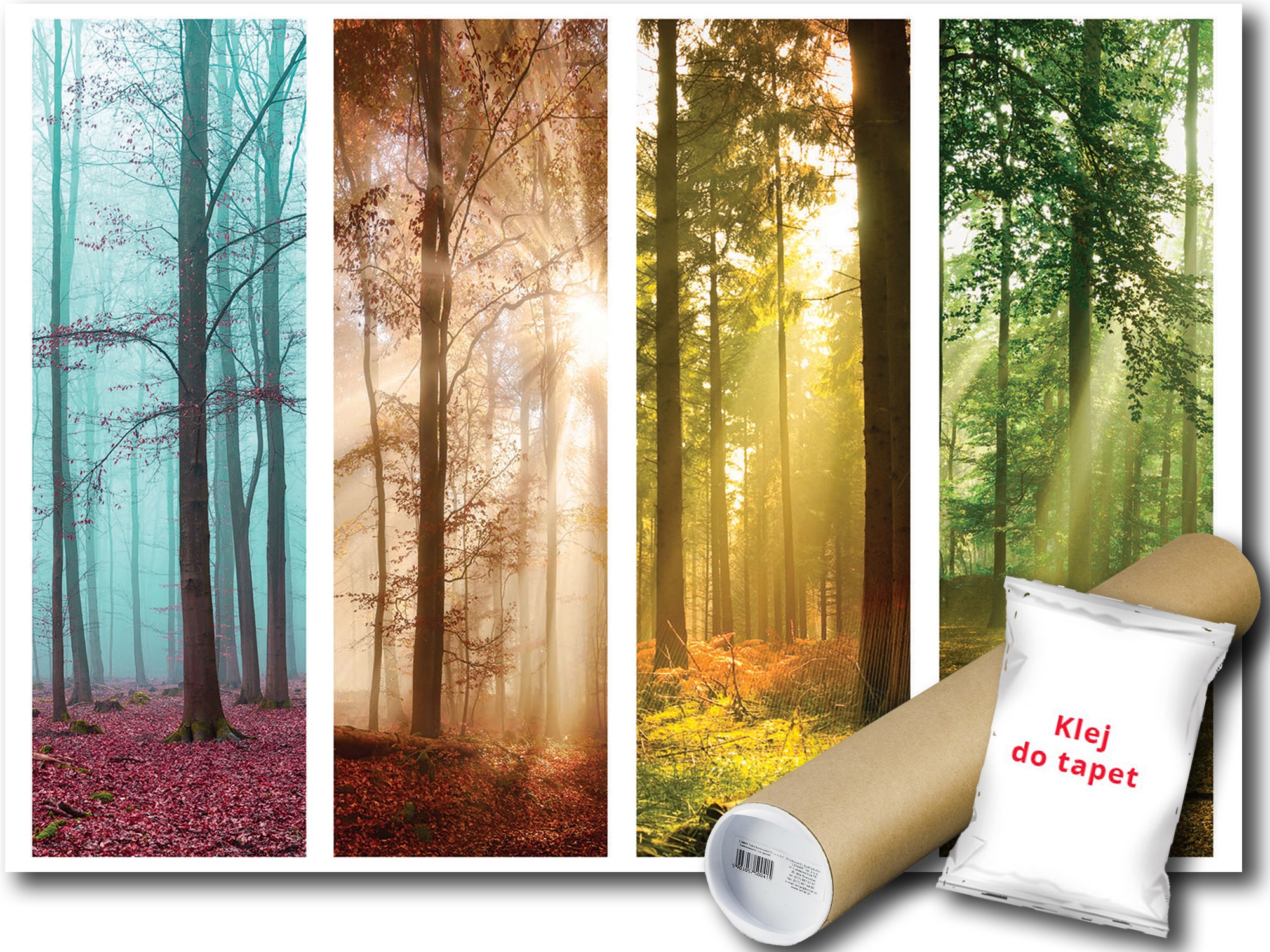 Fototapeta Les Stromy 19A Fxl 208x146 F11684
