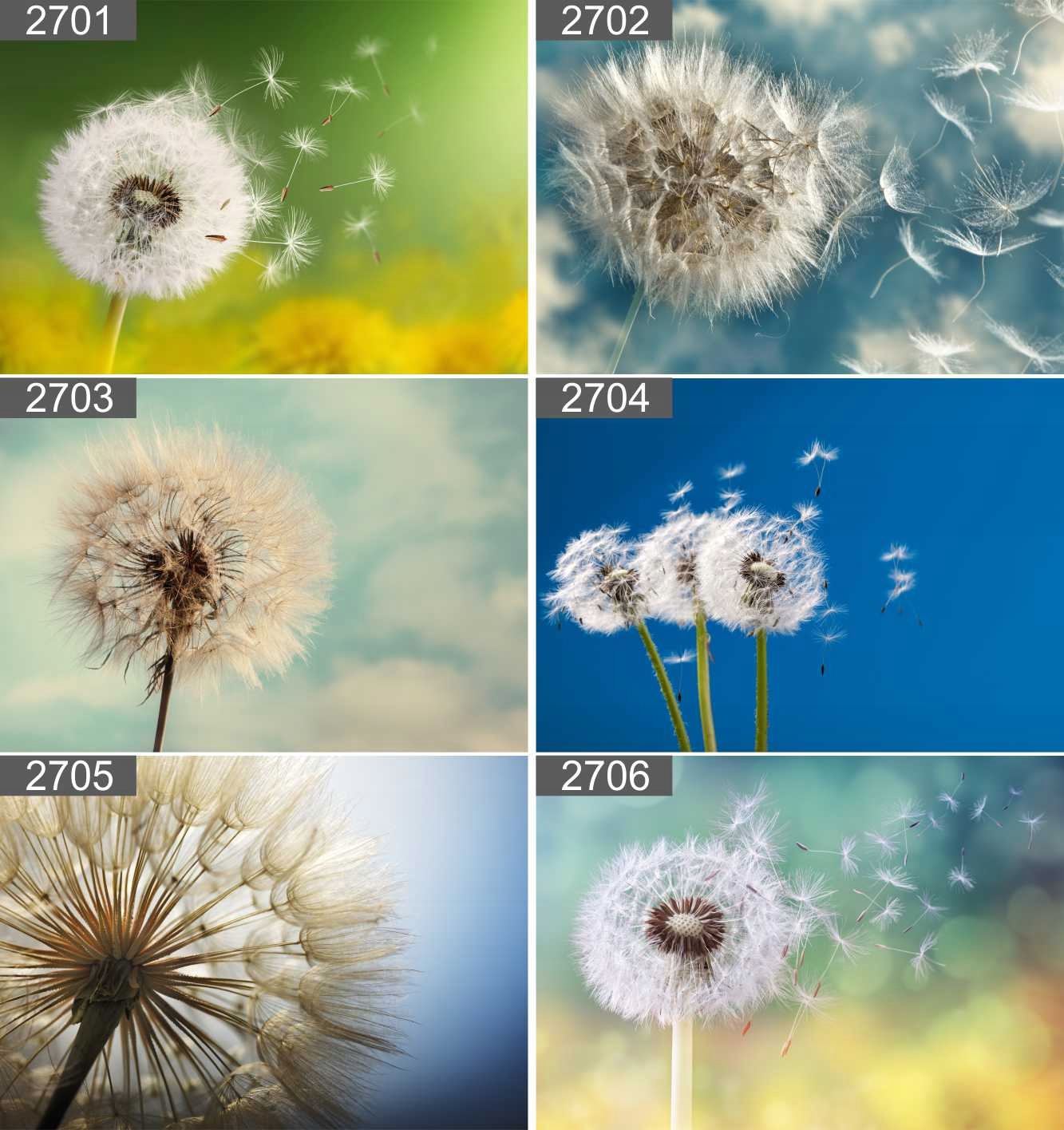 Plakat poster BALON BALONY NIEBO 90x60 max wybór Rodzaj bez ramy