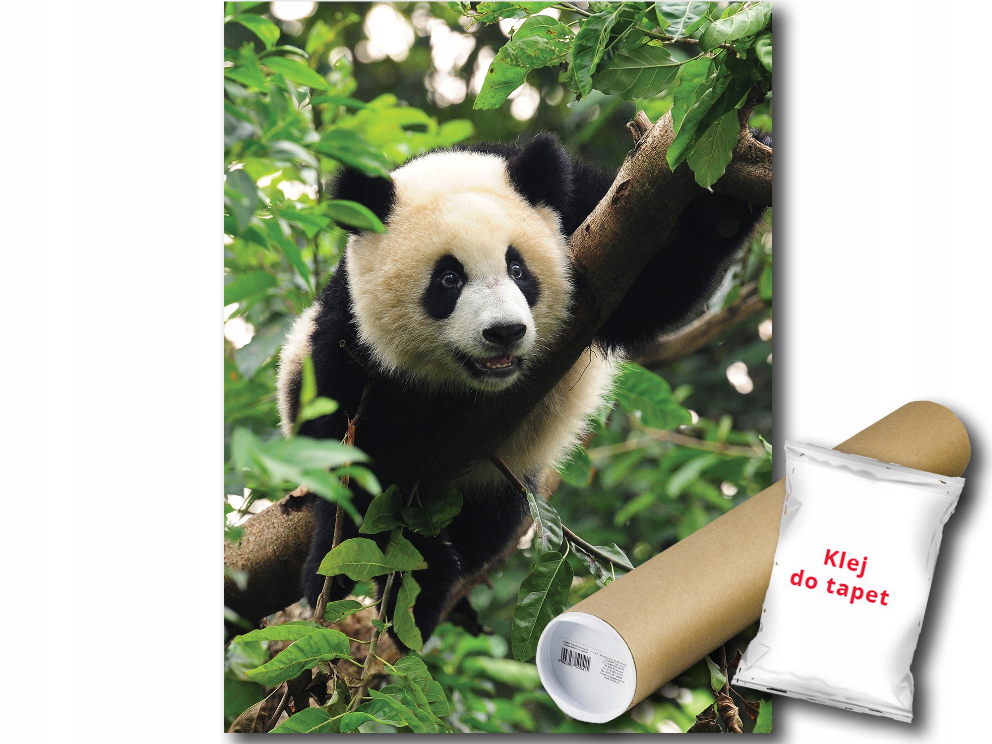 Fototapeta Panda Veľká 12C Panxl 206x275 F3398