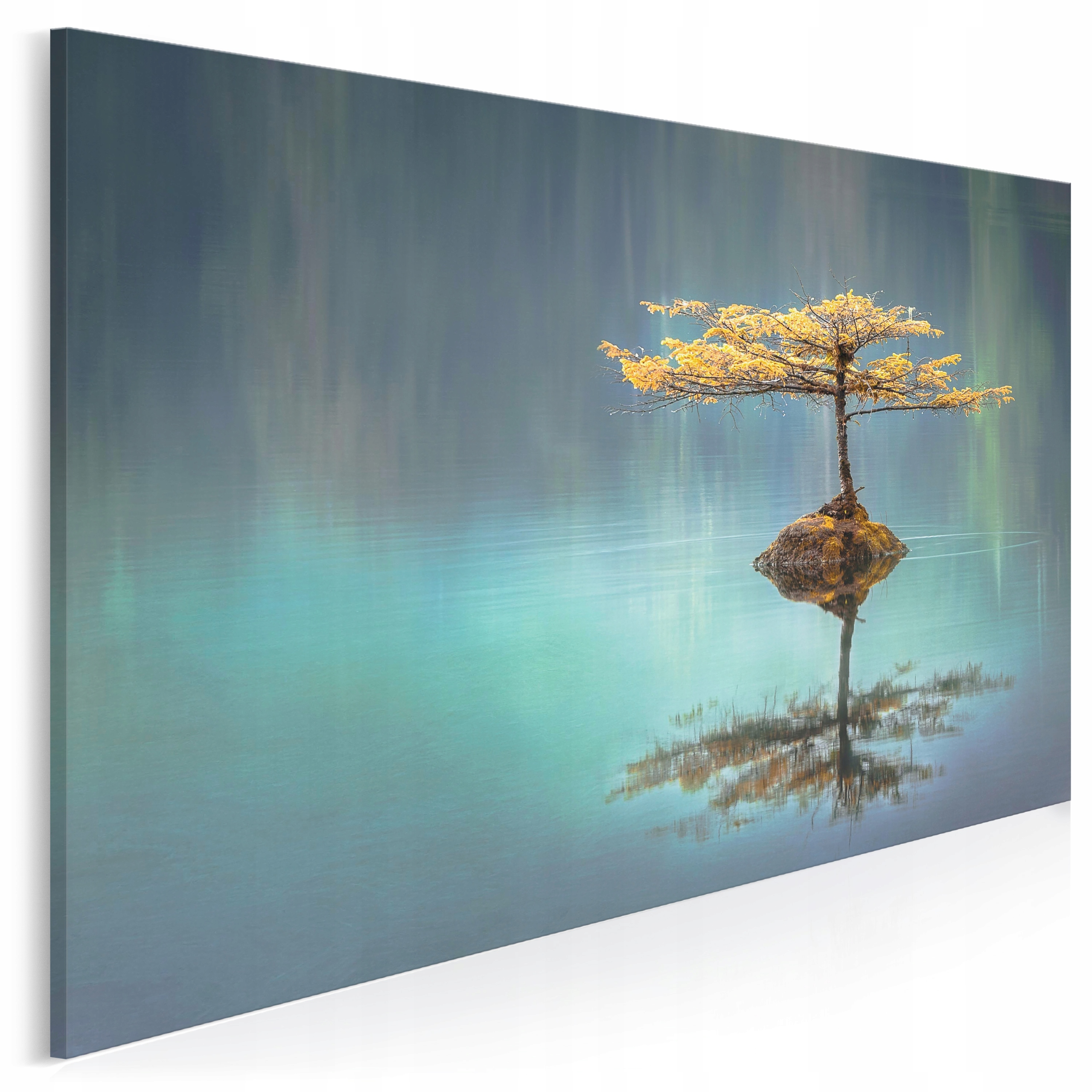 

963601 Zdjęcie na płótnie Jezioro Drzewo Natura