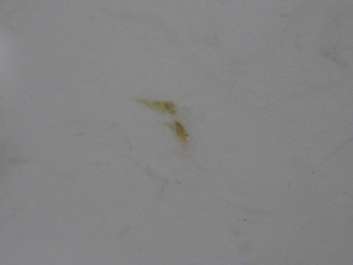 MITSUBISHI PAJERO III 99-06 PODSUFITKA 5D Producent części Mitsubishi OE