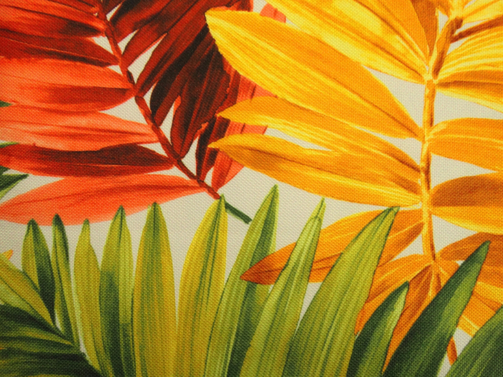 Mg Tk záclonová Druk 21180 Palmy Barevné 3,0m Kupón