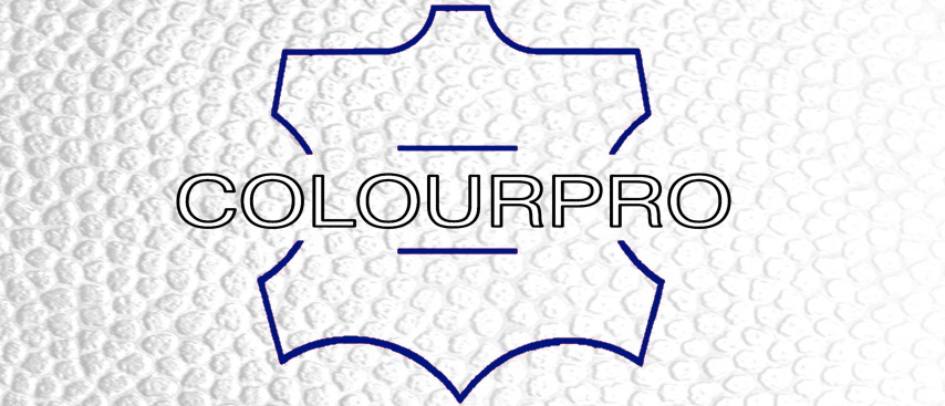 COLOURPRO 50ML FARBA DO ZAMSZU NUBUKU WELURU BEŻ Marka COLOURPRO
