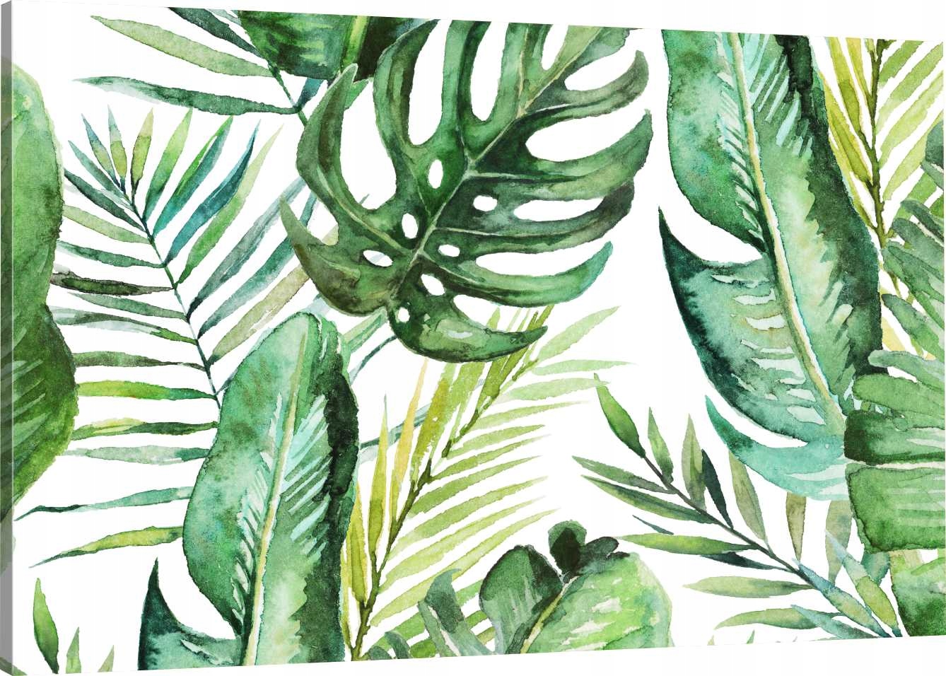 

Obraz Na Płótnie Do Salonu Monstera 90x60 980 Wz