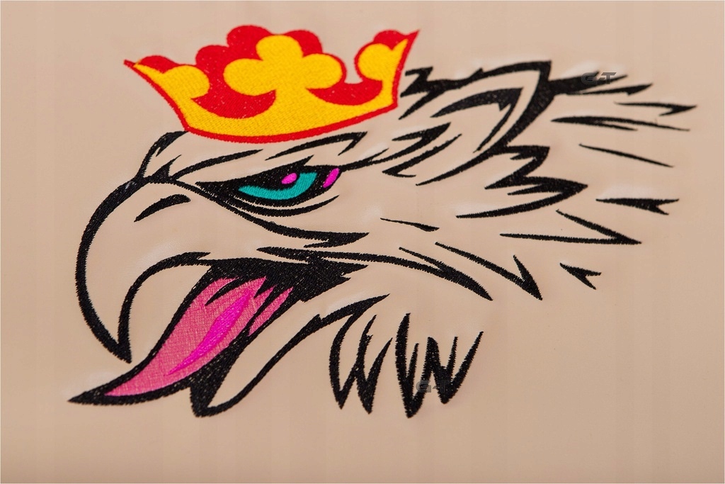 SCANIA R стеганые коврики после 2013 года. + 1 большая вышивка