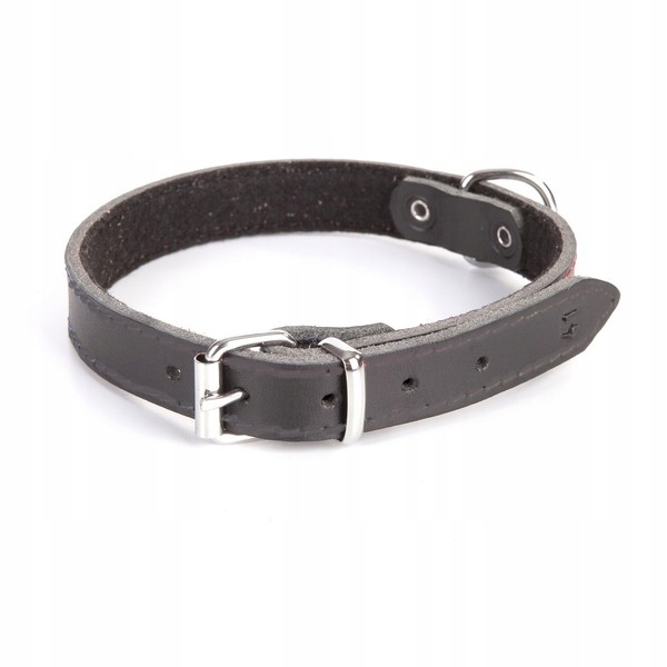 

Dingo Obroża Dla Psa Podszyta Filcem 2,2x55 Czarny