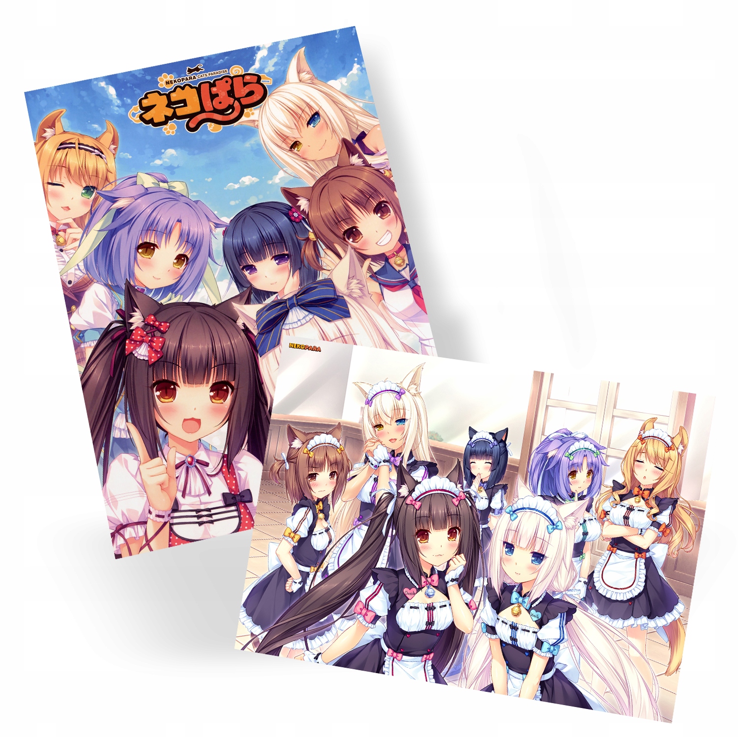 

Plakat Manga Anime Nekopara Duży Wybór