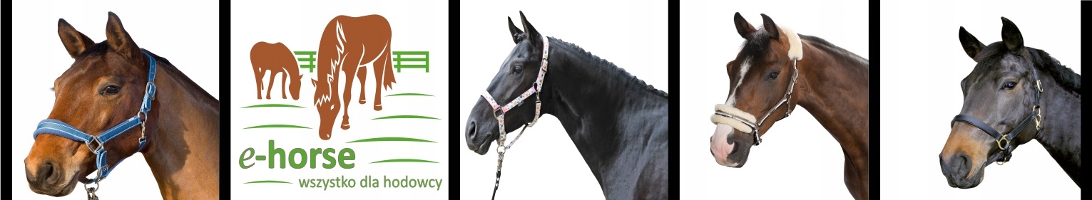 Puśliska York skórzane czarne 125 cm Kod producenta 3820125