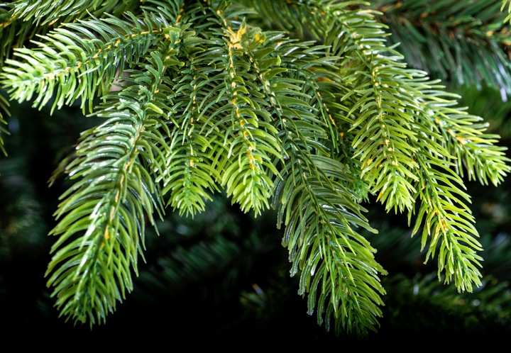 CHOINKA SZTUCZNA ŚWIERK TAJGA 100% PE 220cm stojak EAN (GTIN) 5902634920318