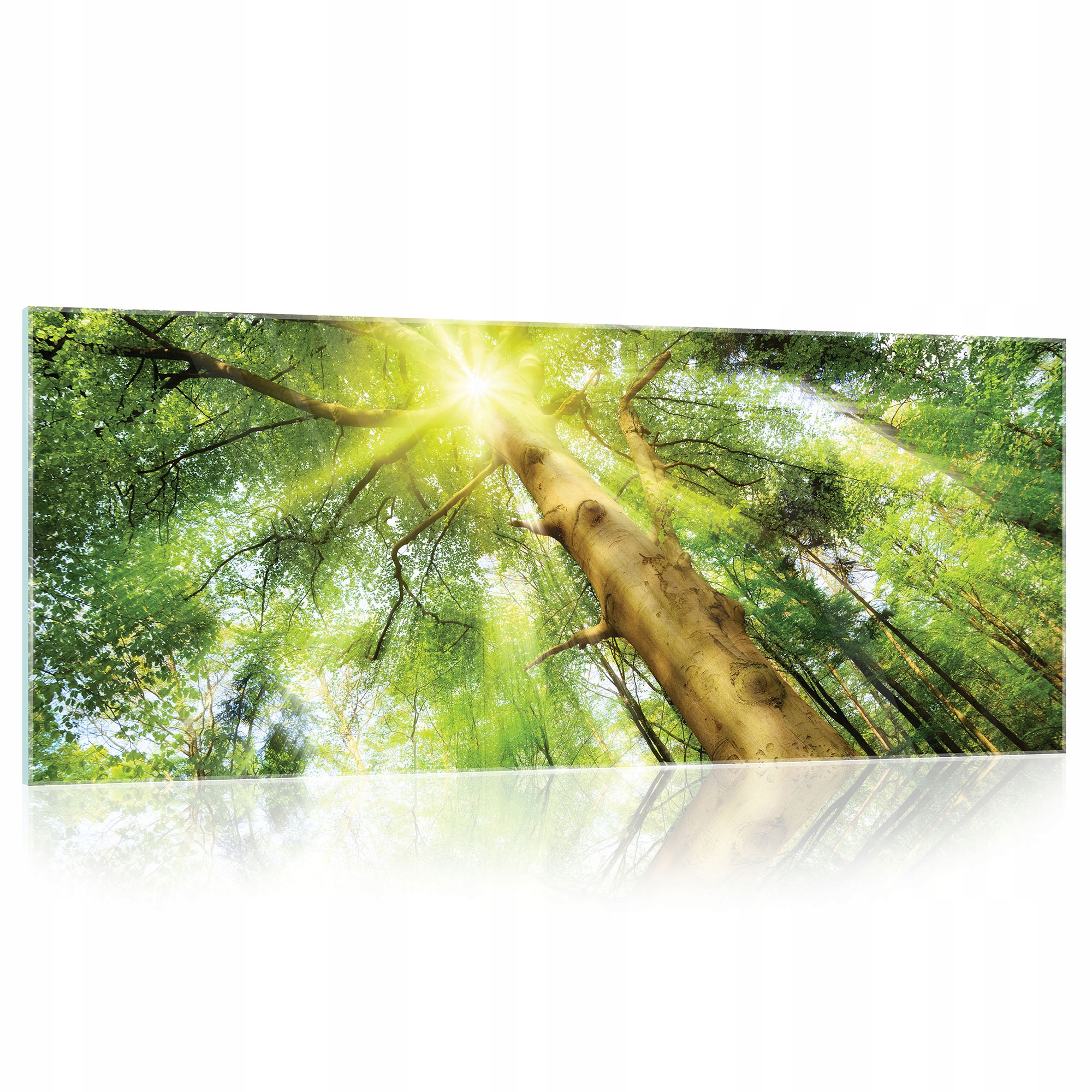 Obraz na skle Les Stromy príroda 3D 125x50