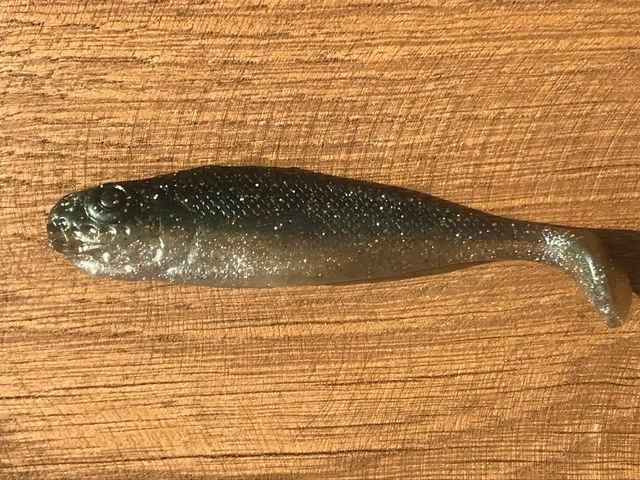 

Guma Realistic Shad Matusiak Jazgarz 7 041 2020
