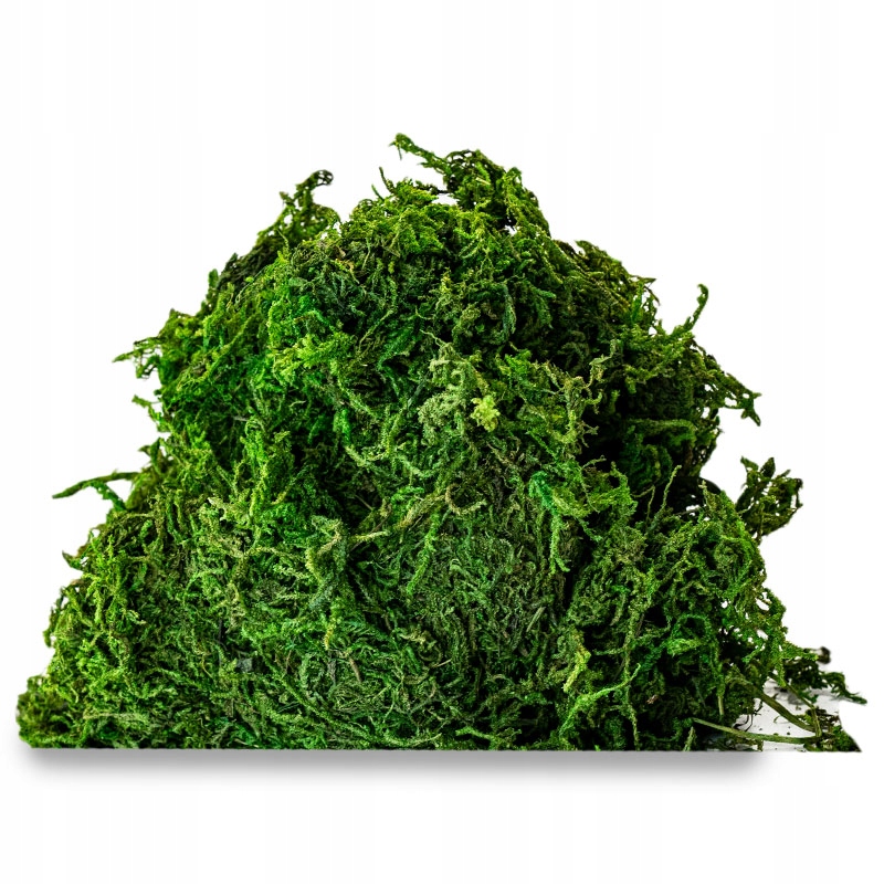 ИСКУССТВЕННЫЙ ЗЕЛЕНЫЙ МОХ 50 г МХИ ДЛЯ УКРАШЕНИЯ