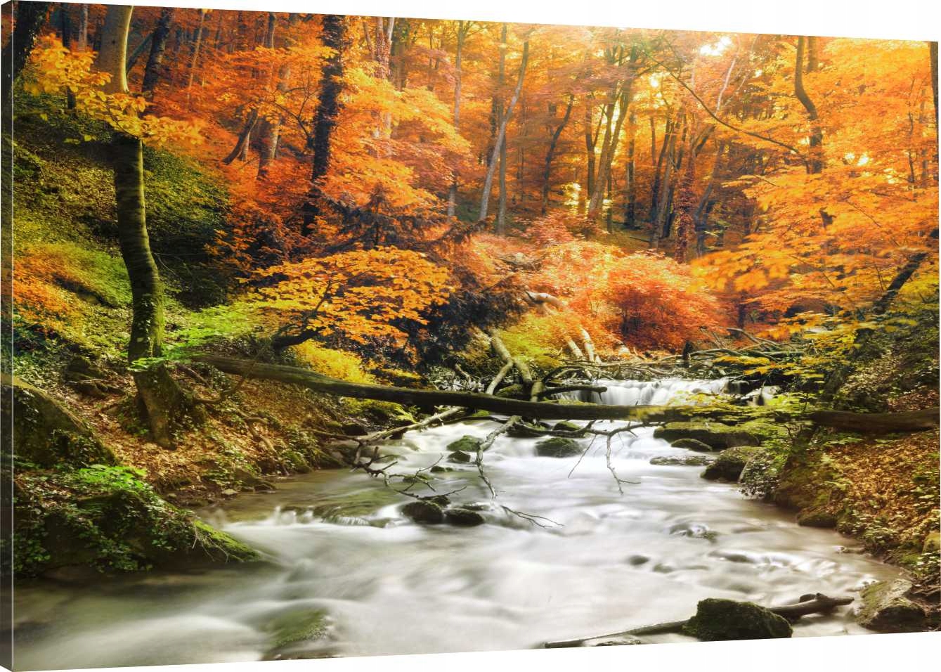 

Obraz Na Płótnie Potok Las Jesień 120X80 800 Wz