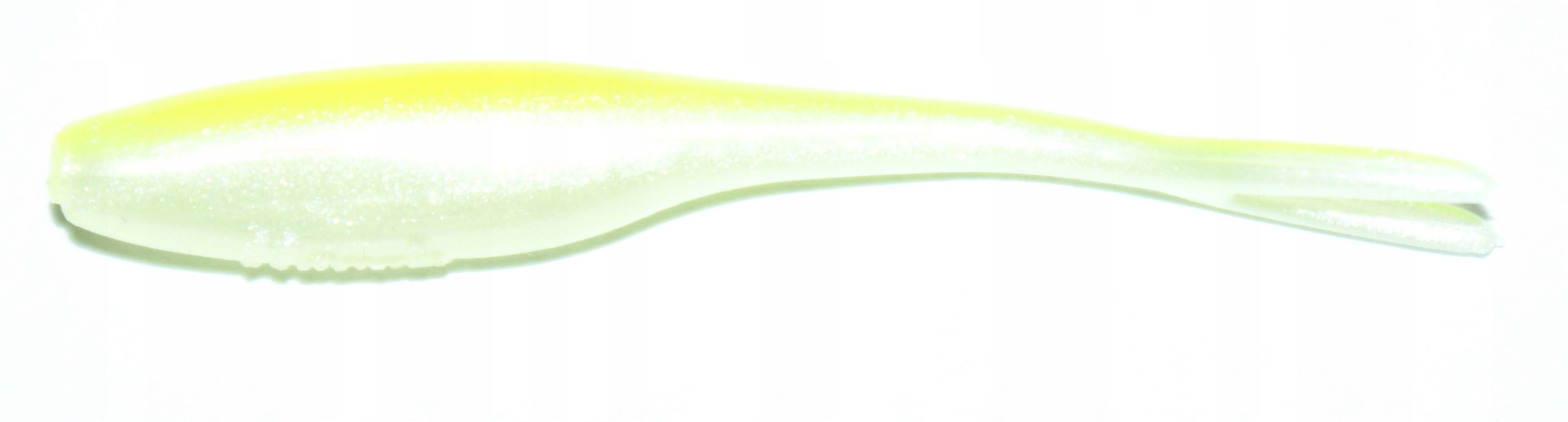 

Manns Jaskółka 9cm kolor Lsh brzuch perła, grzbiet