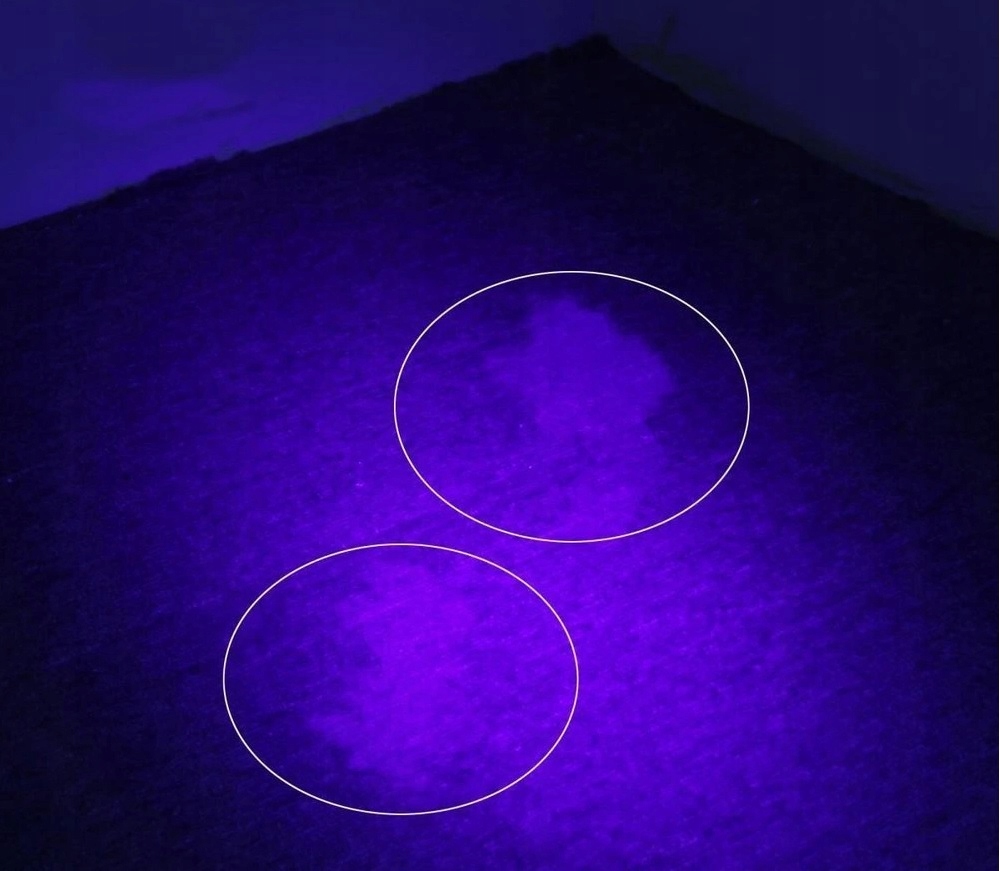 Latarka myśliwska do śledzenia śladów krwi UV ZOOM Kod producenta LatUV