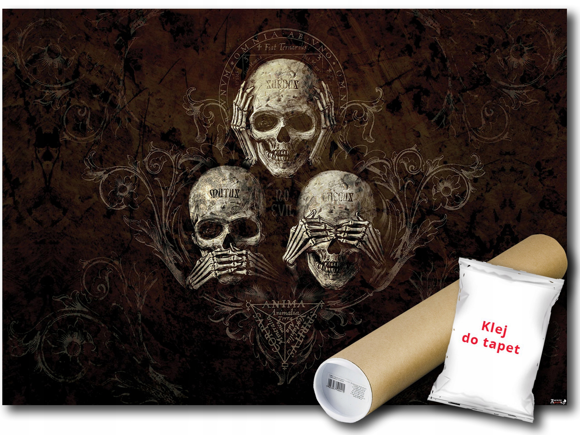 

Fototapeta Czaszki Czaszka 21A F3XL 416x254 F978